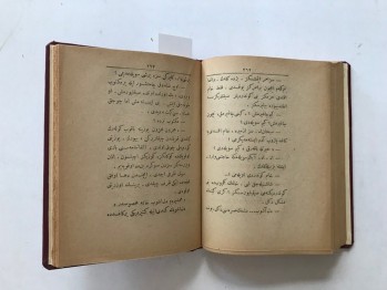Mehmet Akif’in Hayatı  - Vecihi , 1315 , 356  s.