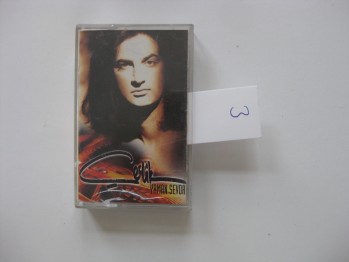 Yaman Sevda-Çelik