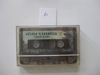 Hasret Pınarı-Gülden Karaböcek