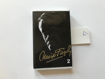 Necip Fazıl 2
