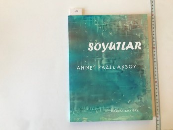 Soyutlar (Şömizli) – Ahmet Fazıl Aksoy , Tuğray Kaynak , 79 s.