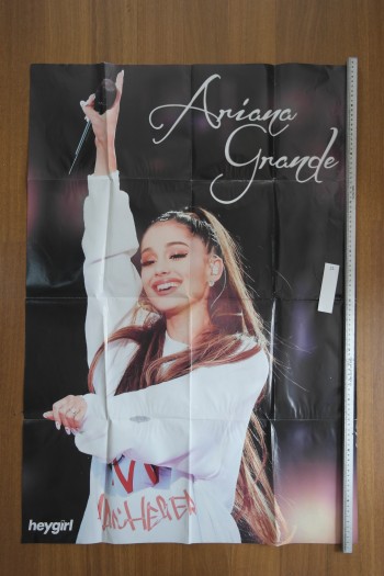 Melenia Mertinez Poster