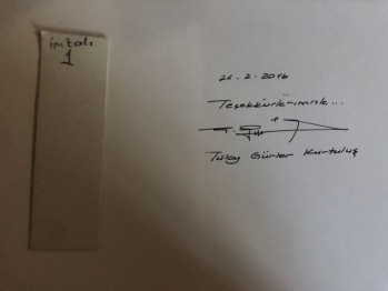 Musevi Lisesi 100 Yaşında-Moşe Grosman Tülay Gürler Kurtuluş/Ulus Özel Musevi Okulları, Akşit, 2014, 247 s. (Ciltli,İmzalı)