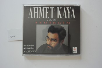 Ahmet Kaya-Tedirgin