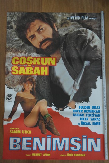 Benimsin