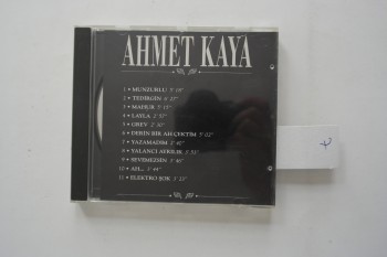 Ahmet Kaya-Tedirgin