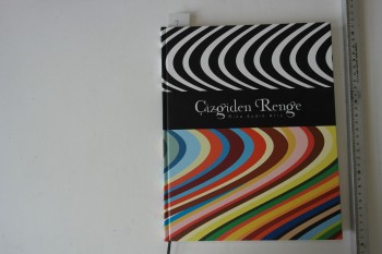 Çizgiden Renge – Rıza Aydın Arıç (Ciltli), 2011, 113 s.