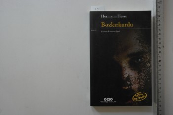 Bozkırkurdu-Hermann Hesse