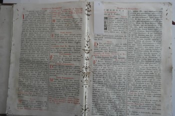 Kutsal Papazlık Görevi Ana Görevi (1823)