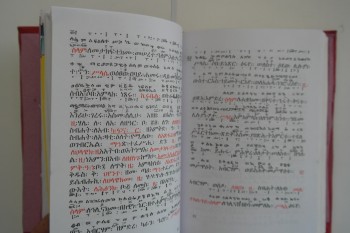 Meyve Özü (2009) - Habeşçe