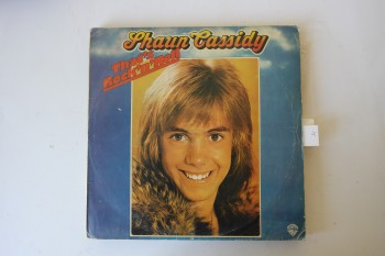 That’s Rock’n Roll – Shaun Cassidy / WB, Kapak:9 Plak:8