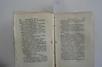 Dikkat Meryem Ana – F. R. Alexandri Vincent (Ciltli), Jandel, Roma, 1857, 487 s.