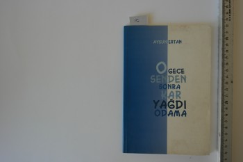 O Gece Senden Sonra Kar Yağdı Odama – Aysun Ertan