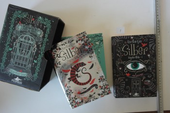 Silber Rüyalar Kitabı 3 Cilt – Kerstin Gier (Kutulu, Ciltli, Şömizli), Pegasus
