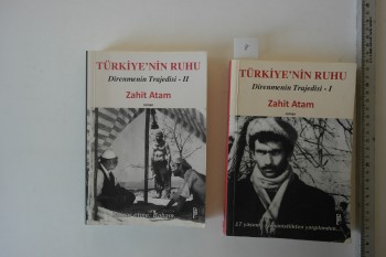 Türkiye’nin Ruhu Direnmenin trajedisi 2 Kitap – Zahit Atam, Cadde, 2013