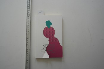 Mr. Dalloway – Virginia Woolf , Aylak Adam , 215 s.