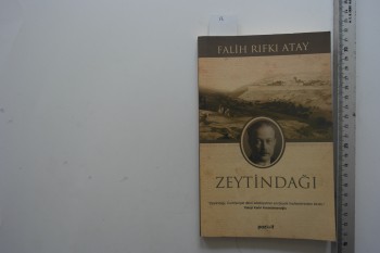 Zeytin Dağı – Falih Rıfkı Atay , Pozitif Yayınları , 165 s.