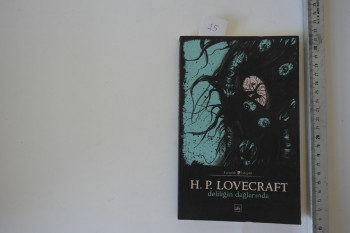 Deliliğin Dağlarında- H.P. Lovecraft /İthaki,2018,136 s.