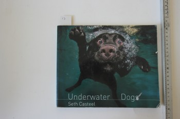 Underwater Dogs /Headline, 2012,131 s.