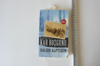 Sarıkamış Kar Bozgunu – Halide Alptekin – Yitik Hazine Yayınları – 285s.